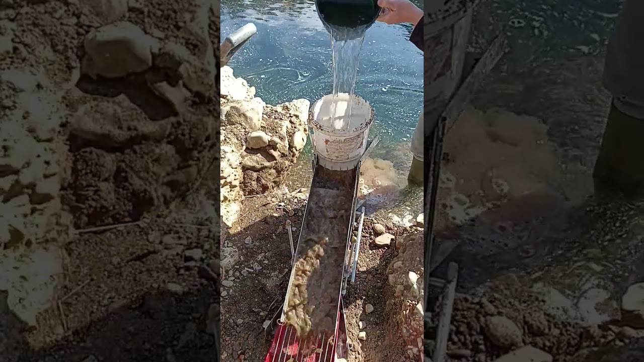 une belle journée d'orpaillage. 