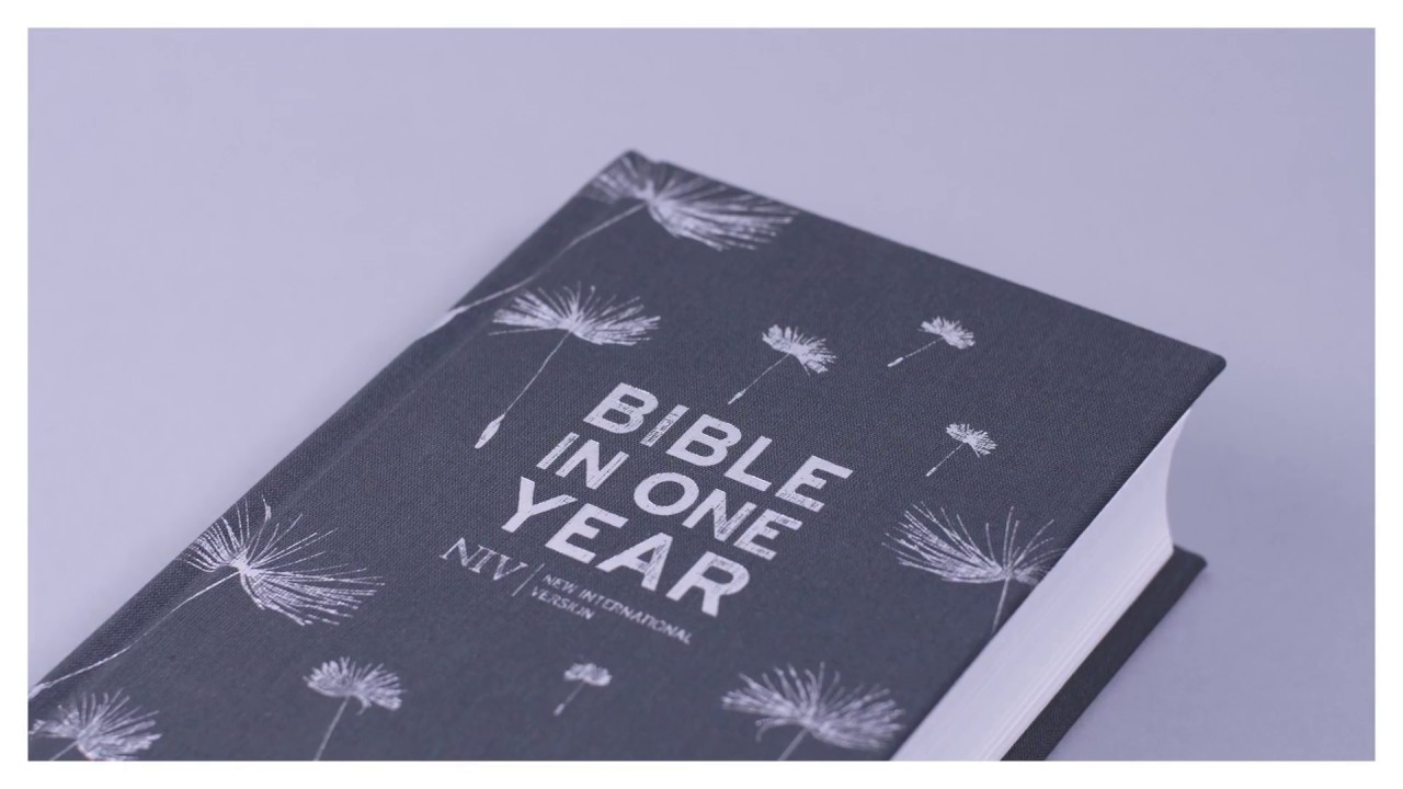 NIV Bible In One Year YouTube