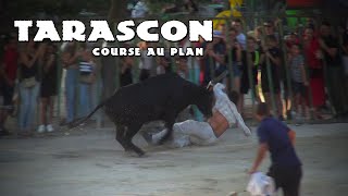 TARASCON Course au Plan 23242526-06-2023 🌞