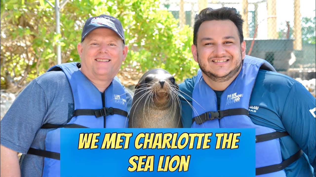 Carnival Mardi Gras Sea Lion Encounter Blue Lagoon Nassau YouTube
