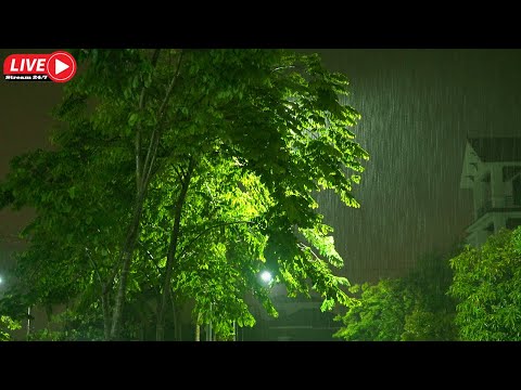 🔴 천둥소리가 들리지 않는 폭우, 공부, 집중, 이명 완화, 불면증 극복, ASMR 비 24/7 - Rain Sounds Falling Non-Stop At Night