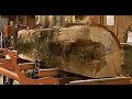 Family With Wood-Mizer Mills Oak Split by Black Powder Pt2