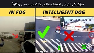 most stupid road incident record on camera | in FOG incident | OFFICIAL WORLD