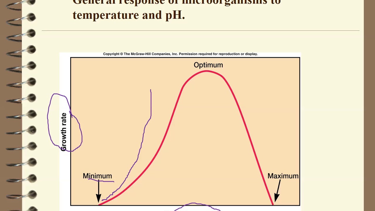 Lecture 3 Fators affecting microbial growthtest YouTube