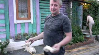 Как запекать шашлыки в "Ракете" Как запекать шашлыки в "Ракете"