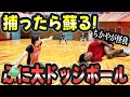 【ガチ対決】ぷに大で復活ドッジボールやったらちかやが怪我したwwww