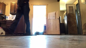 Sadie: capturing calmness and rewarding for not following.