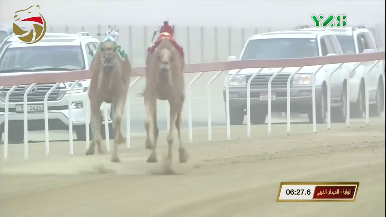 مهرجان ختامي الوثبة- حول وزمول للقبائل 1-3-2019 ص ش1 شهد لـ محمد زايد خلفان المنصوري 12:36:8