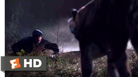 The Interview (2014) - Aardvark vs. Tiger Scene (4/10) | Movieclips