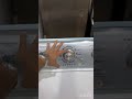 MAYTAG Washer Reset Diagnostics Mode Actechnician Maytag Washingmachine Washerrepair Tech Ac MAYTAG Washer Reset Diagnostics Mode Actechnician Maytag Washingmachine Washerrepair Tech Ac