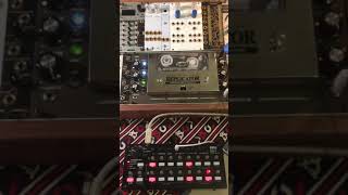 Sequenced Tape Delay Speed (T-Rex Replicator Eurorack Feedback) #shorts