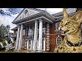 WE FOUND A $20k CAT on billionaires row FINDERS BEEPERS