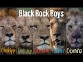 Black rock boys brb lions