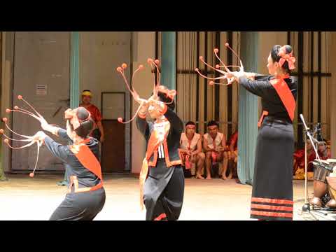การแสดงภาคอีสาน : ภูไท