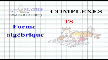 Term ME -  Forme algébrique d