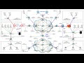 شرح البنية التحتية للشبكات والسيرفرات | 6 | lecture 6 Lab Infrastructure By Ahmad H AL Mashaikh