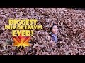 BIGGEST PILE OF LEAVES EVER 🍁 (WK 359.5) | Bratayley