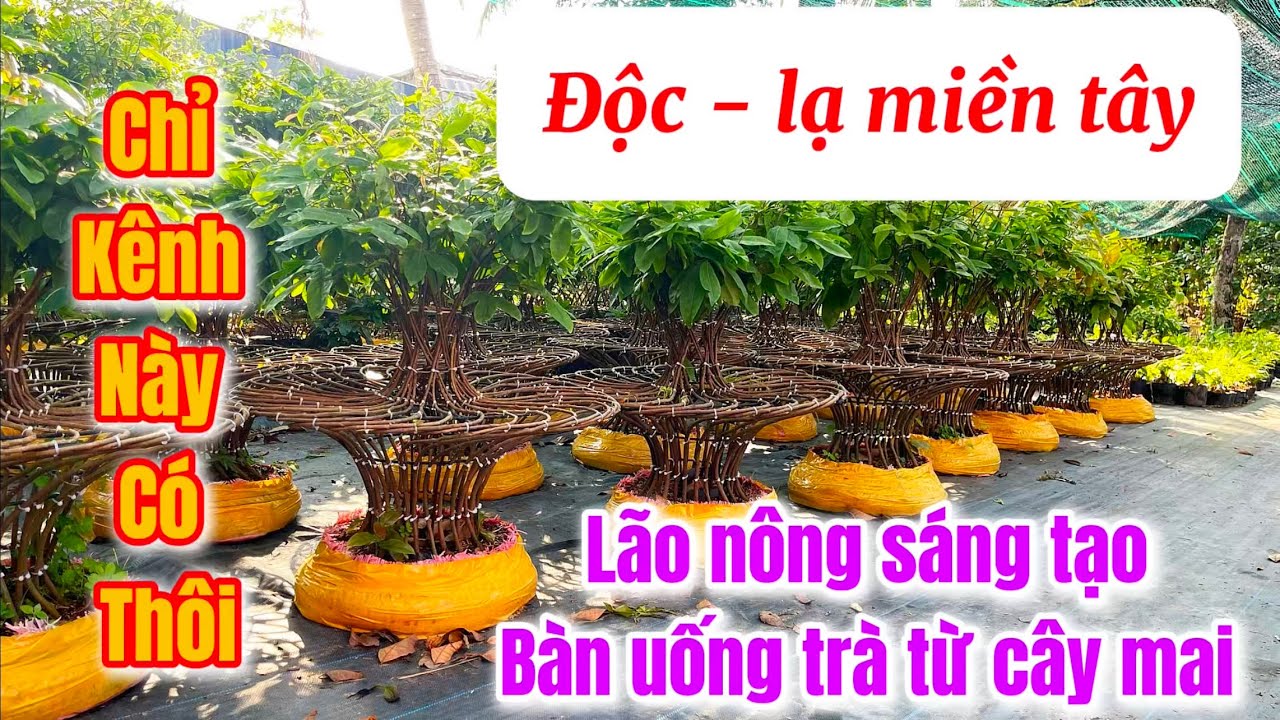 Lh công việc 0969.582.569 (tùng) tác phẫm độc lạ chỉ kênh này có số lượng ít ai thích chốt nha