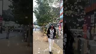 Particle Rain System