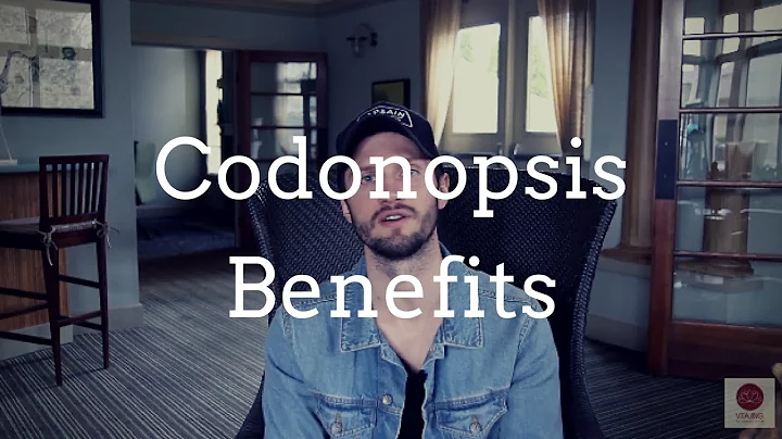 Codonopsis Benefits: Adaptogen, Blood Tonic, Circulatory - DayDayNews