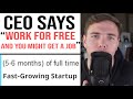 CEO Says - "Work for free and you might get a job" (Positive Job Examples Included!)