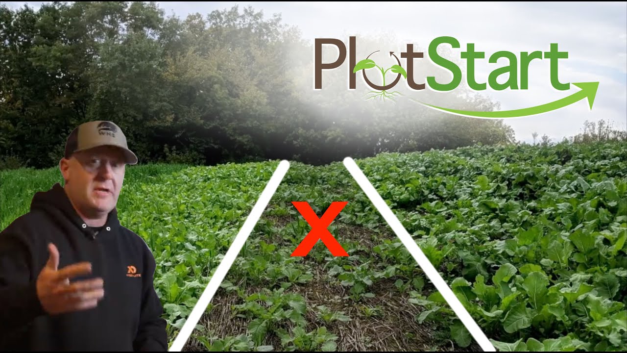 Buckwheat/Fall No Till Food Plot Method and DeerGro Buckwheat/Fall No Till Food Plot Method and DeerGro