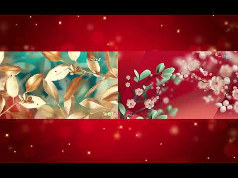 HTV2 (Vie Channel)