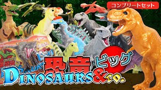 スーパーレアあり！恐竜&co.ビッグ　開封レビュー！