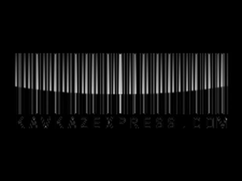 100 000 შემოქმედი ცვლილებებისთვის თბილისი  (2) 2015 09 26