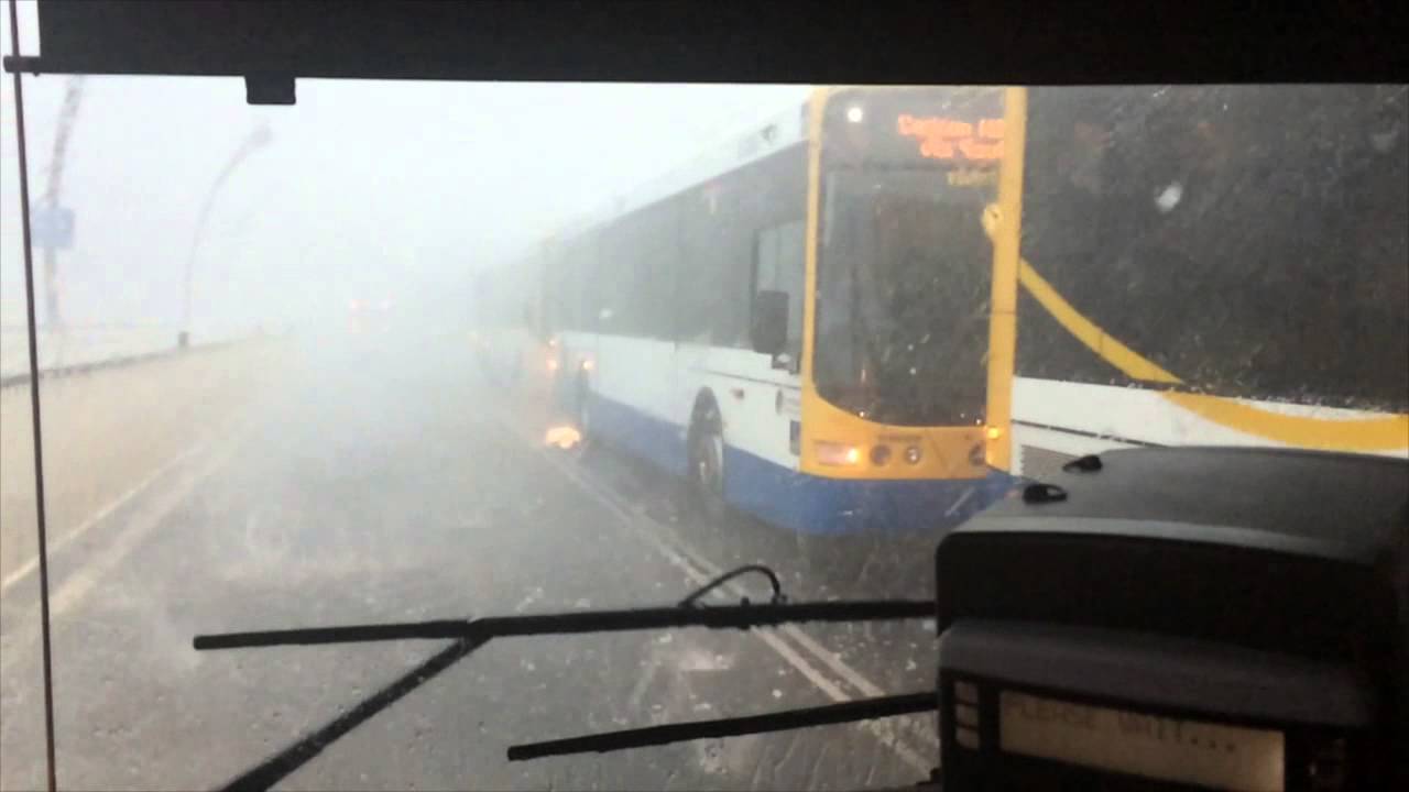 Hail Hydra! I mean, Brisbane!