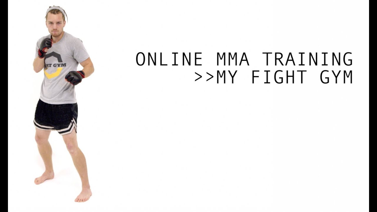 online mma training