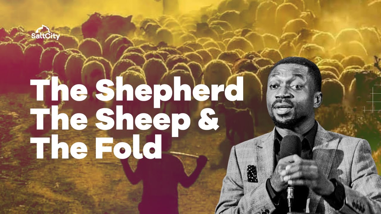 The Shepherd the Sheep & the Fold