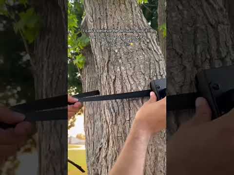 I can't believe HE ACTUALLY strapped our TV onto a TREE?!?! 😭