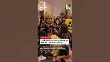 Pro-Palestinian protesters target New York senators