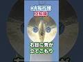 『太陽の塔』に男が立てこもり | 大阪万博