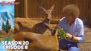 Bob Ross - The Old Oak Tree Season 20 Episode 8