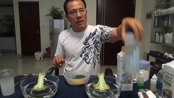 MHSP Nước Rửa Chén Dish Drops Của Amway - FCA Minh Hùng