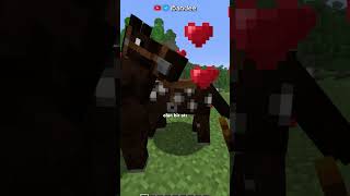 AT GENETİĞİ!?💛💎