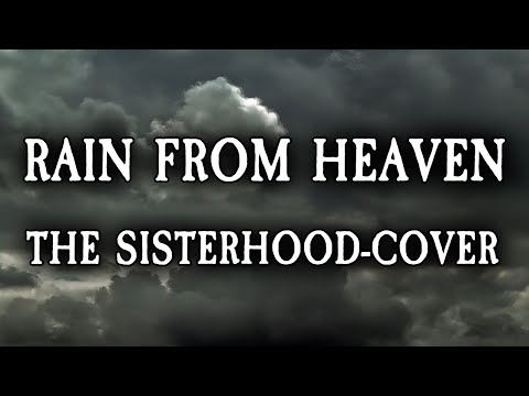 Video: Rain is a great gift from heaven. Everything you need to know about rain