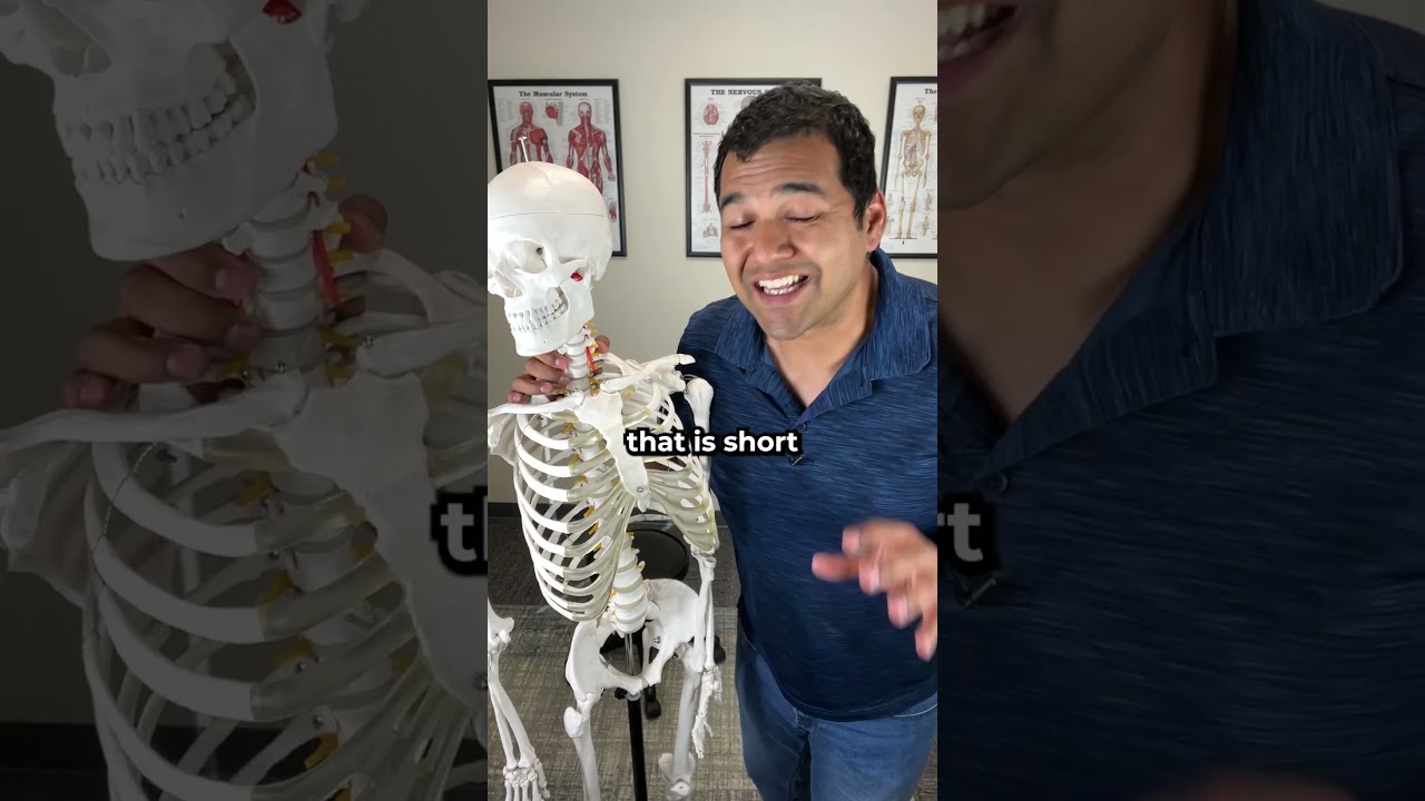 Best Treatment For A Neck Disc Herniation Shorts