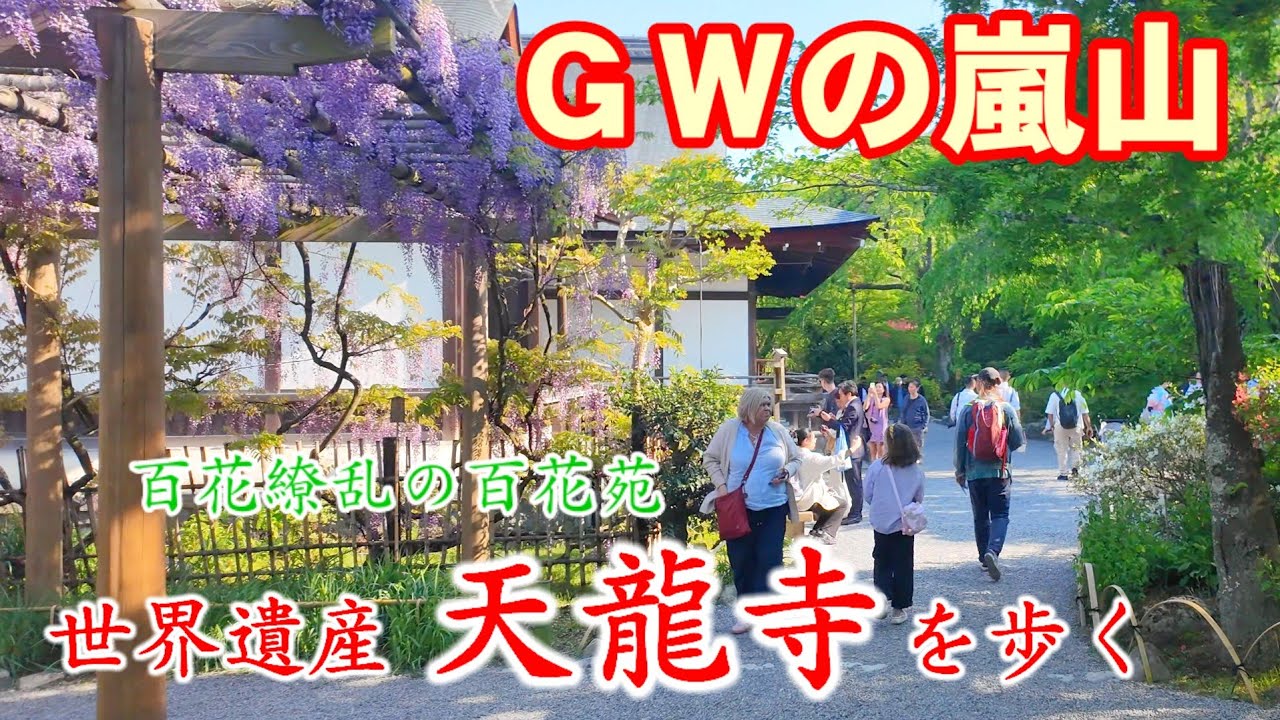 4/29(火祝)GWの観光客で賑わう嵐山 世界遺産天龍寺を歩く【4K