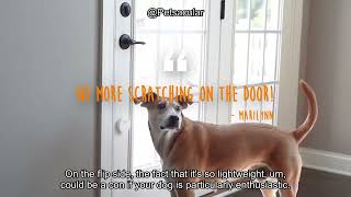 Mighty Paw Smart Bell 2.0 Review: Is This Wireless Dog Doorbell Worth the Hype?