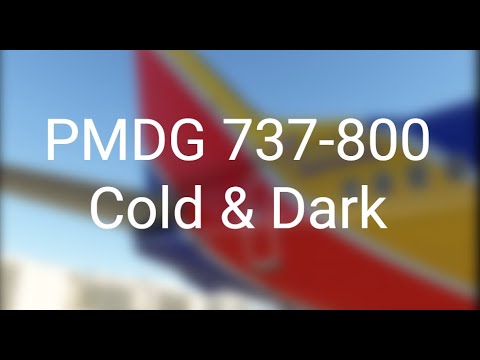 PMDG 737 I Cold & Dark Startup Guide I MSFS 2020 - YouTube