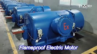 High Efficiency Ie2 Flameproof Electric Motor Asynchronous 3 Phase 3600Rpm