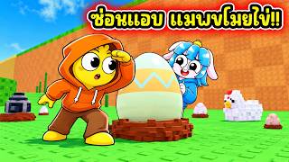 บัคใช้แกล้งเพื่อน! ใช้บัคโกงซ่อนแอบในเกมขโมยไข่! | Steal An Egg Roblox