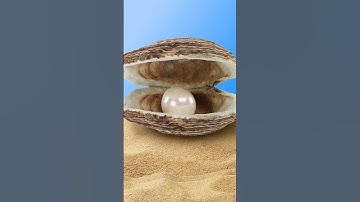 De donde vienen las perlas? 🐚 #xpresstv #sabiasque