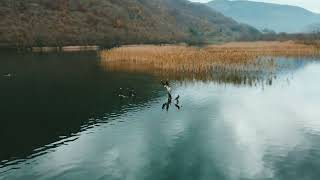 Omar Hisham Al Arabi - Dua Of Prophet Yunus, Plivska Lake, Bosnia And Herzegovina