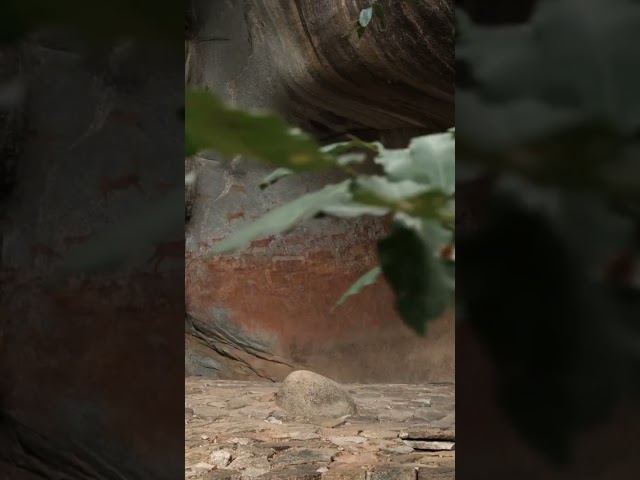 ANCIENT CAVE PAINTINGS - ZIMBABWE