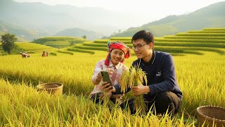 Quang and Linda: The First Abundant Harvest on the New Farm – A Heartwarming Journey
