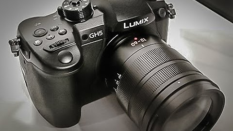 Panasonic GH5 Lumix w/ Matt Frazer @ Image One